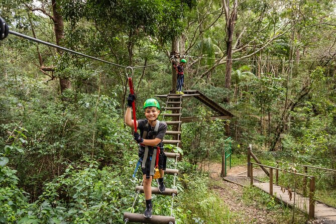 Tamborine Mountain TreeTop Challenge Adventure Park - Exploring the Tamborine Mountain TreeTop Challenge Adventure Park