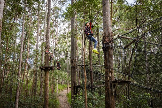 Tamborine Mountain TreeTop Challenge Adventure Park - Key Points