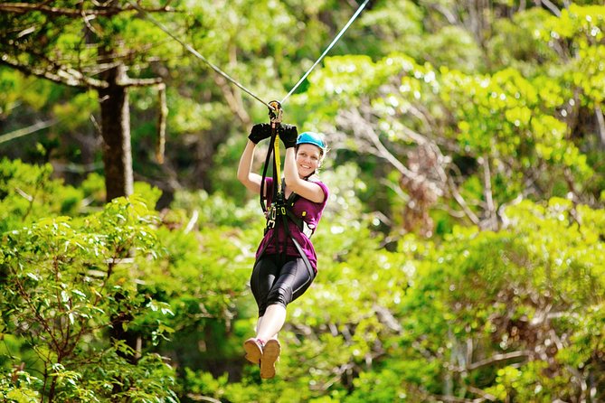 Tamborine Mountain TreeTop Challenge Adventure Park - Frequently Asked Questions