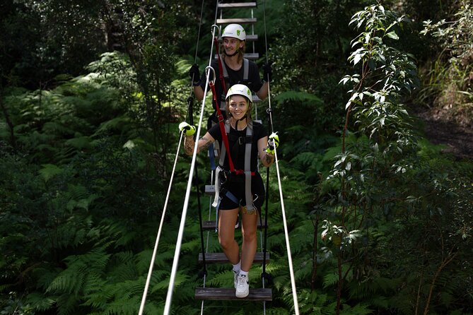 Tamborine Mountain TreeTop Challenge Adventure Park - Experience Australias Largest High Ropes and Zipline Park on Tamborine Mountain
