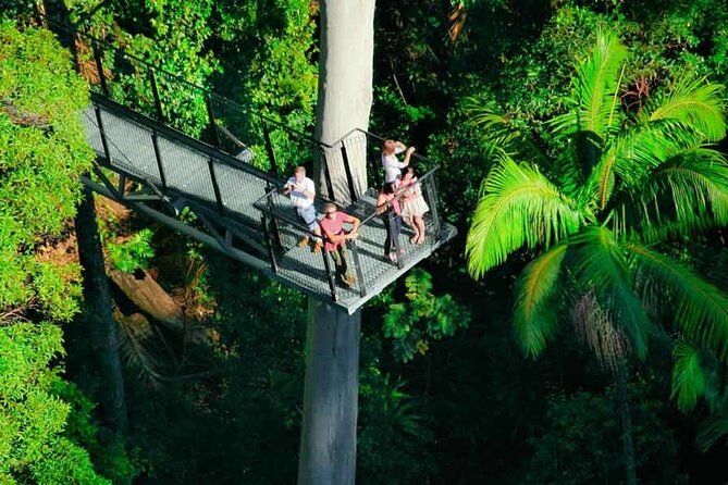 Tamborine Rainforest Skywalk + Hop on Hop off Bus - What the Tour Entails: A Detailed Breakdown
