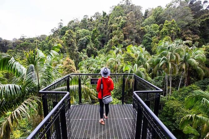 Tamborine Rainforest Skywalk + Hop on Hop off Bus - Final Thoughts