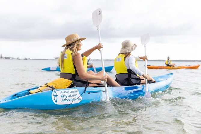 2-Hour Dolphin Kayak & Snorkel Tour on the Broadwater - Who Will Love This Tour?