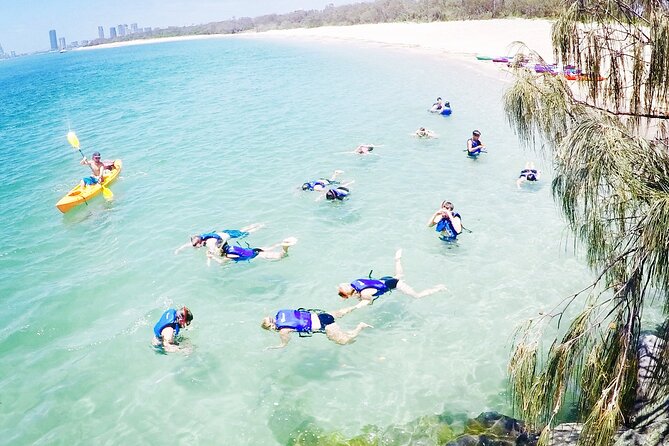 2-Hour Dolphin Kayak & Snorkel Tour on the Broadwater - FAQs