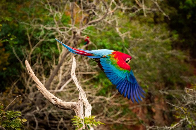 Bonito Shared Transfer From Campo Grande Airport - FAQs