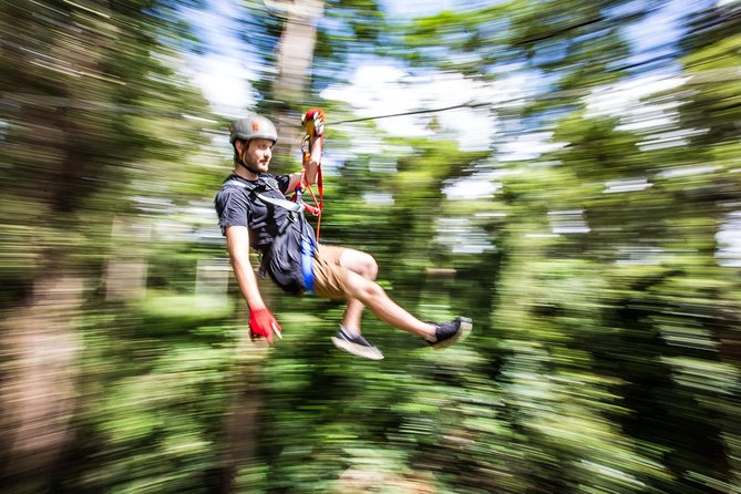 Australia Zoo Transfer from Noosa and Sunshine Coast - Authentic Experiences and Real Traveler Insights