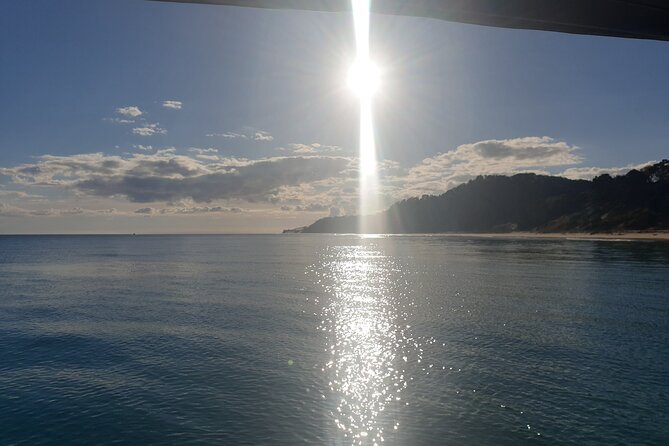 Noosa Surfing and Snorkel Boat Charters to Sunshine Coast in QLD - The Value of the Experience