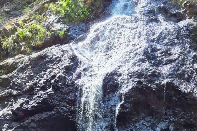 Booloumba Falls & Booloumba Creek Adventure, Conondale Nat. Park - The Experience from Travelers’ Perspectives