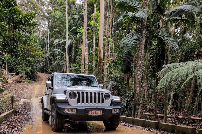 Booloumba Falls & Booloumba Creek Adventure, Conondale Nat. Park - An Authentic Look at Conondale National Parks Hidden Gems
