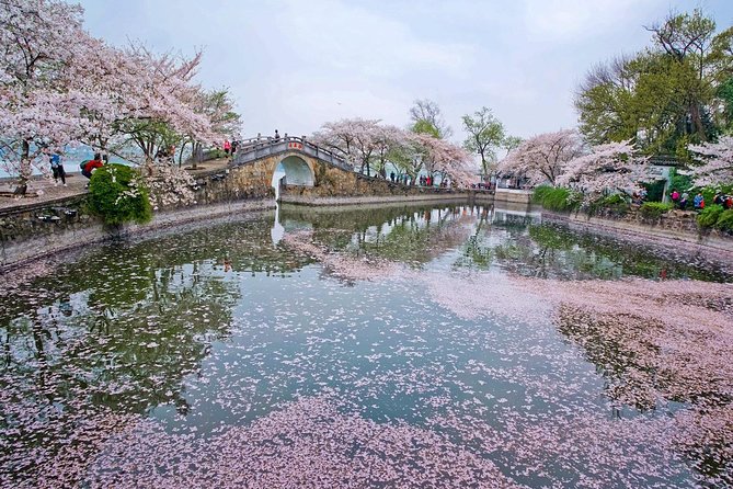 Wuxi Lingshan Buddhist Scenic Spot and Tai Lake Private Tour - Practical Details and Value