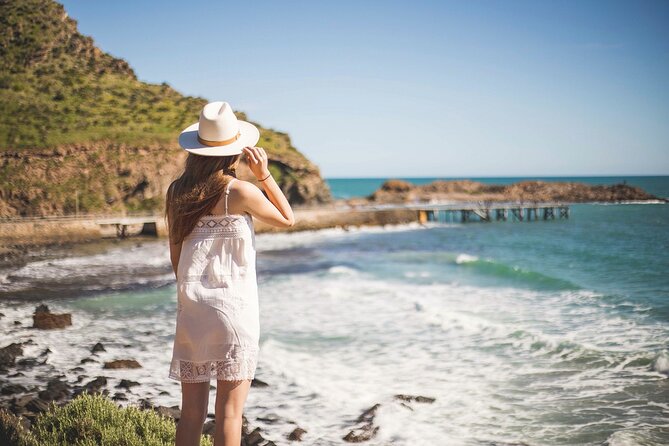 Adelaide Cruise Ship Private Tours - Who Should Consider This Tour?