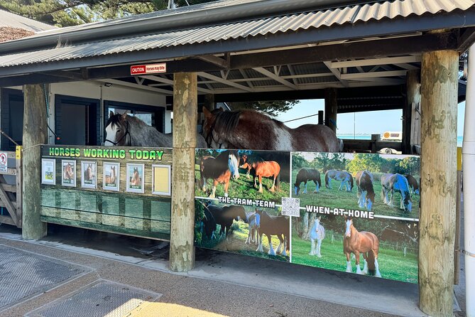 Family Private Walking Tour of Adelaides Rich History - FAQ