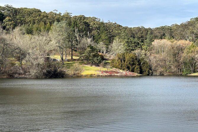 Hahndorf and Hills Wildlife Wonders - Authentic Traveler Insights