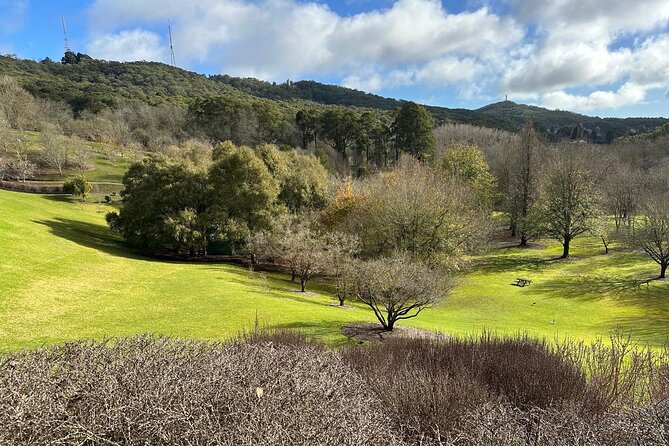 Hahndorf and Hills Wildlife Wonders - An In-Depth Look at the Itinerary