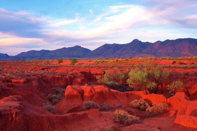 Adelaide to Coober Pedy 7-Day Small Group 4WD Eco Safari - FAQs