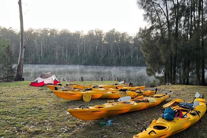 3 Day Guided Kayak Camping Adventure on the Clyde River - An Overview of the Experience