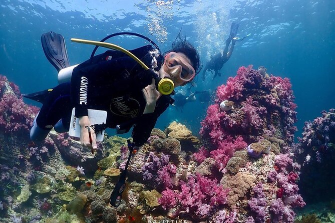 Koh Lipe Beginner Scuba Diving Half Day Tour with Lunch - Meeting Point and Transport
