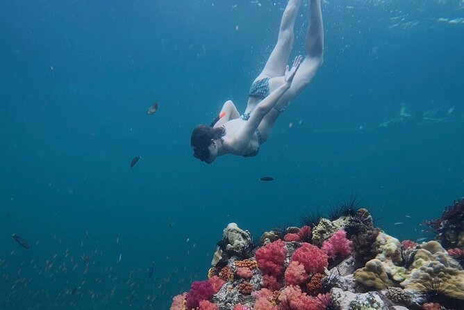 Snorkeling + Free Underwater Photos by Longtail Boat  Koh Lipe A - Who Should Consider This Tour?