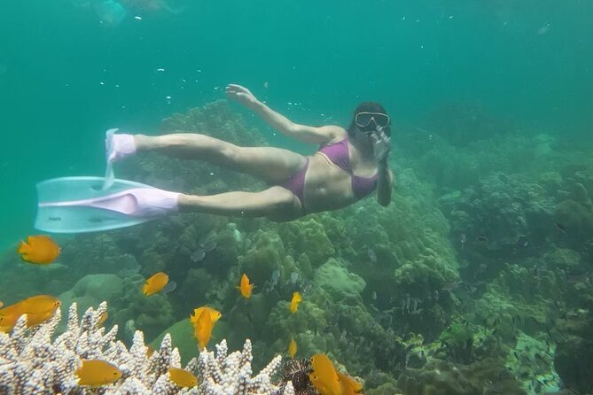 Snorkeling + Free Underwater Photos by Longtail Boat  Koh Lipe A - Good To Know