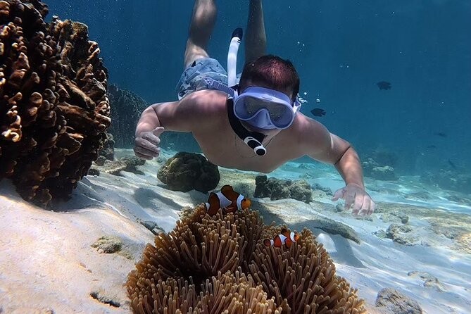 Snorkeling + Free Underwater Photos by Longtail Boat  Koh Lipe A - Final Thoughts: Is This the Tour for You?