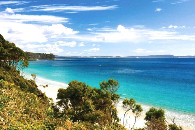 Bruny Island Day Tour Private Charter Service - Food and Beverage Highlights