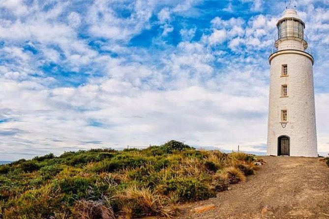 Bruny Island Day Tour Private Charter Service - Detailed Breakdown of the Itinerary