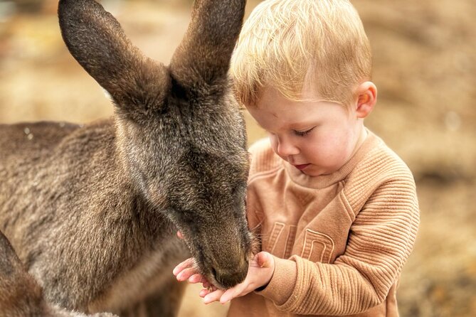 Mt Field National Park and Russell Falls with Bonorong Wildlife - Final Thoughts