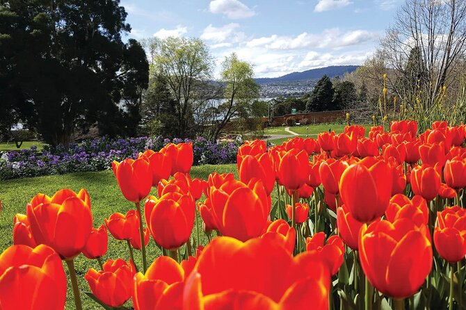 Hobart Half-Day Sightseeing City Tour - Final Thoughts