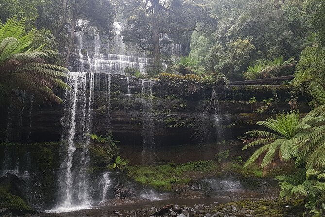 4 Day Wild Tasmania Tour / Wildlife, Nature, Hiking / Inc. Accom - Final Thoughts