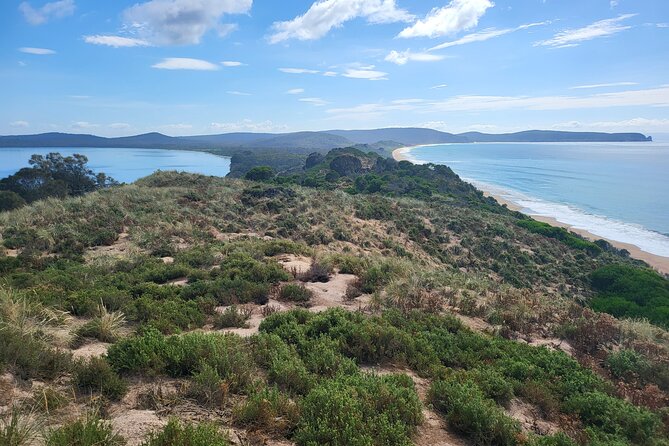 Signature Bruny Island Tour - Hobart & SE Tasmania - Introduction: Discover Bruny Island’s Flavors and Scenery with an Intimate Tour