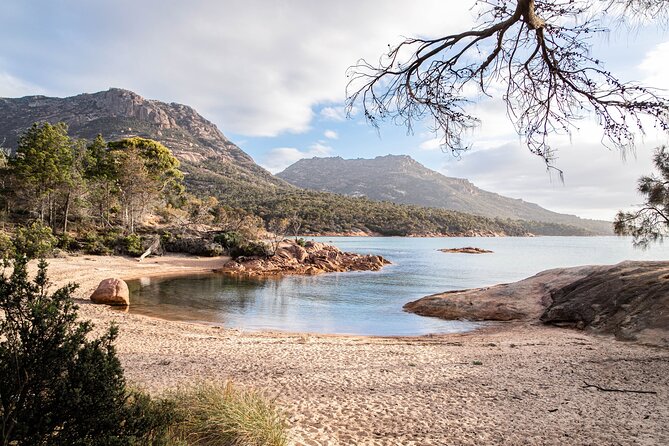 A Day At Wineglass Bay - A Complete Guide to the Wineglass Bay Day Tour