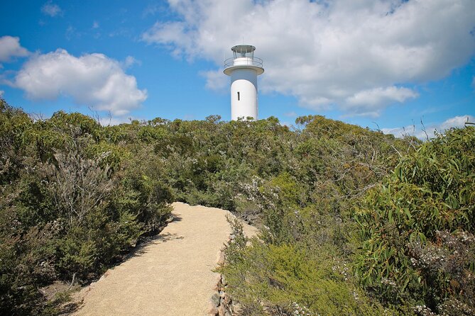 A Day At Wineglass Bay - Why This Tour Works for You