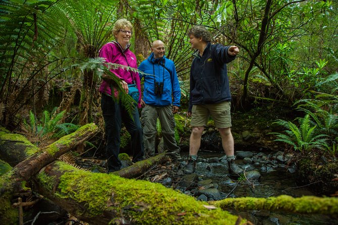 Bruny Island Traveller - Gourmet Tasting and Sightseeing Day Trip from Hobart - Key Points