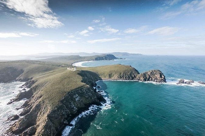 Bruny Island Day Tour Scenic Views And Local Tastings - The Value of a Guided Full-Day Experience
