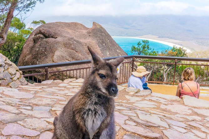 Wineglass Bay & Freycinet NP Full Day Tour from Hobart via Richmond Village - Key Points