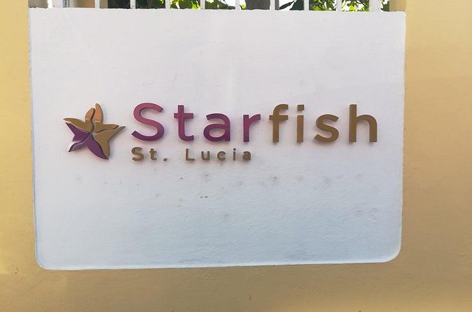 St Lucia Airport Transfer to Starfish St Lucia - Final Thoughts on the Service
