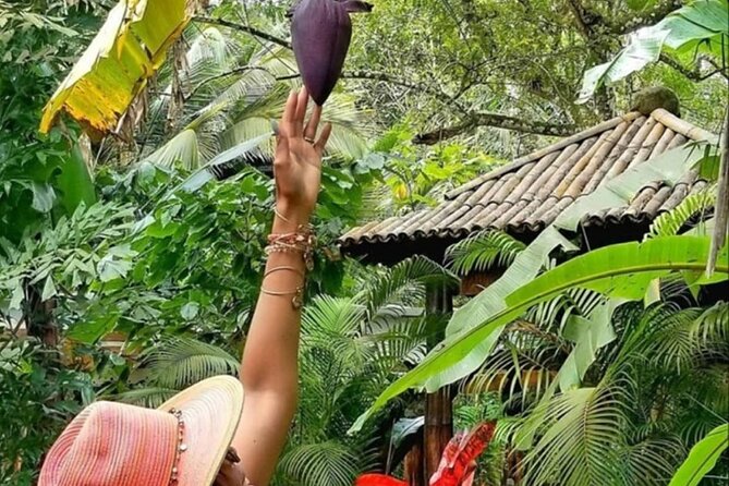 St Lucia Airport Transfer to Fond Doux Resort - Booking and Cancellation