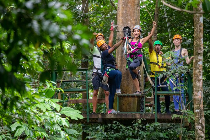 St Lucia Ultimate 3 Package: Aerial Tram, Zipline and Hiking - An In-Depth Look at the St. Lucia Ultimate 3 Package