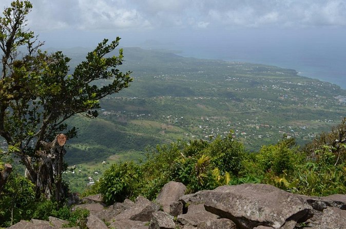 Lucian Piton Nature Trail Hike - Authentic Feedback from Travelers