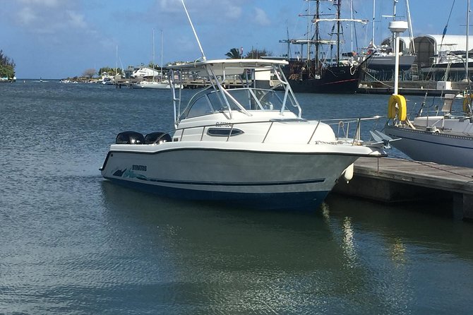 Private All Inclusive Speedboat to Soufriere with Lunch, Mud Bath & Waterfall - An In-Depth Look at the Tour Experience