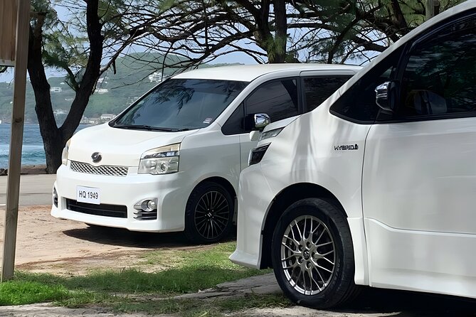 St Lucia Private Zipline and Shopping Adventure - Key Points