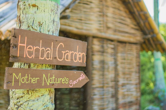 Historical 18th Century Estate Tour with Coconut Tasting - A Detailed Look at the Morne Coubaril Estate Tour