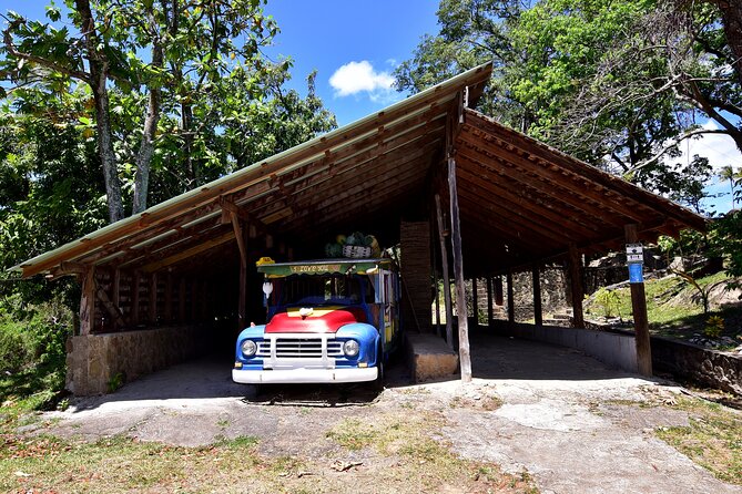 Historical 18th Century Estate Tour with Coconut Tasting - Real Guest Experiences and Insights