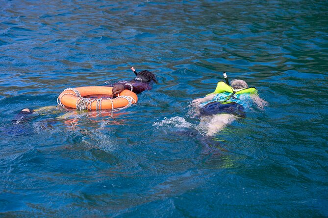 Snorkeling at Pigeon Island - How to Make the Most of Your Snorkeling Experience
