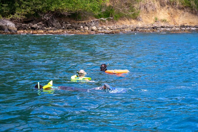 Snorkeling at Pigeon Island - Who Will Love This Tour?
