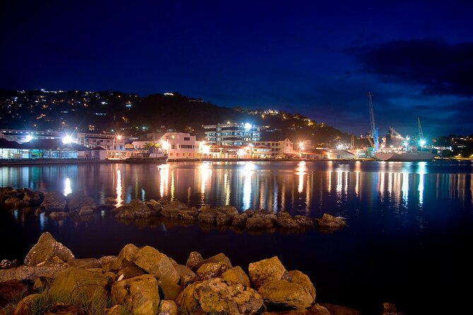 Private Tour Saint Lucia Street Party - An In-Depth Look at the Saint Lucia Street Party Tour