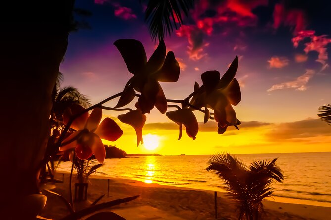 Private Tour Saint Lucia Street Party - Final Thoughts: Who Will Enjoy This Tour?