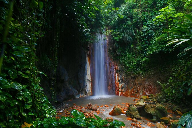 Private Tour St. Lucia Botanical Gardens and Waterfall - Exploring the Heart of St. Lucia: An In-Depth Review