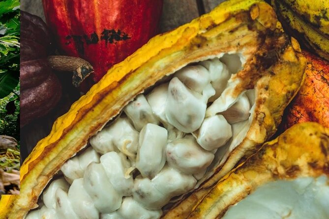 Soufriere vibes Tour ( pick up Rodney bay,St.Lucia) - A Detailed Look at the Soufriere Vibes Tour