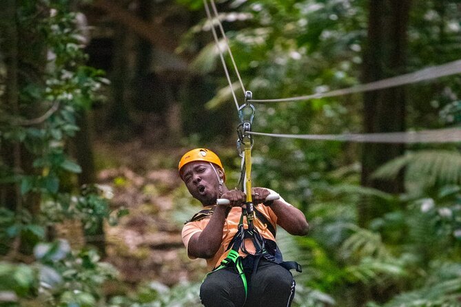 Half-Day Hiking Adventure with Aerial Tram & Zipline in St Lucia - Explore St. Lucia’s Natural Beauty with the Half-Day Hiking, Aerial Tram & Zipline Tour